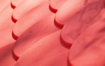 The Bratch plastic roof costs